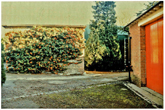 Buildings at Stanmer Stables with Corrugated Iron Barn in background