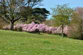 2014 Stanmer Park