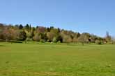 2014 Stanmer Park