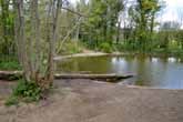 2014 Pond in Stanmer Woods
