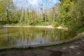 2014 Pond in Stanmer Woods