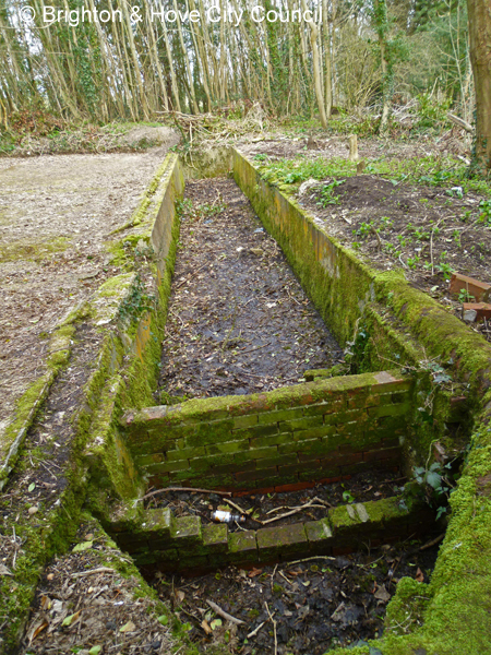 Rain Water Catcher in March 2016