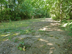 Stanmer Water Catcher in September 2021