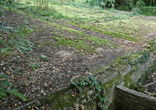Water Catcher in September 2021