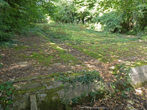 Water Catcher view up the slope in September 2021