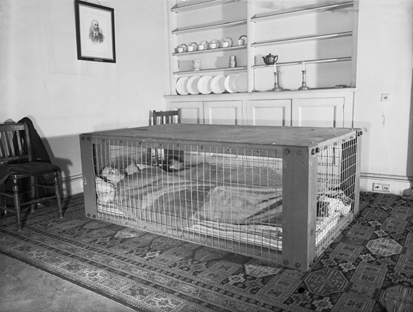 ARP Morrison Shelter