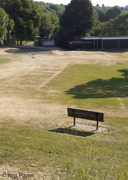 Parch Marks on Farm Green 23 July 2022