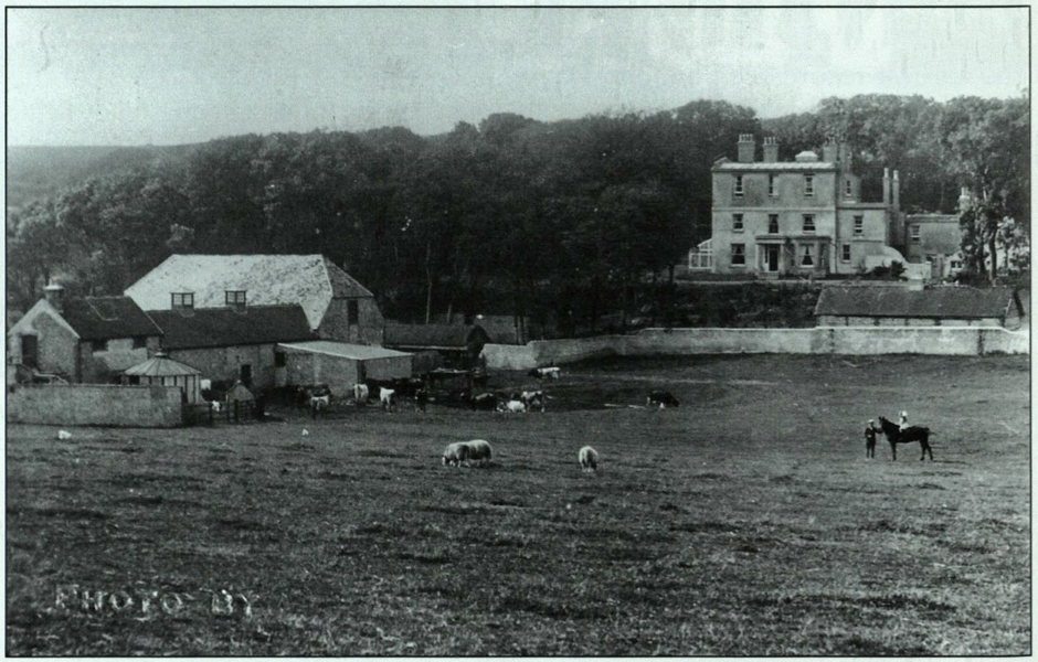 Woodendean Farm