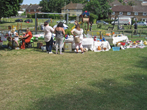 Bevendean Summer Fayre 2019_IMG_0882