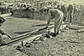 1953 Photo of Bill Marchant