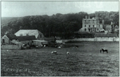 Woodendean Farm