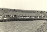 Hazelgrove in the 1960s