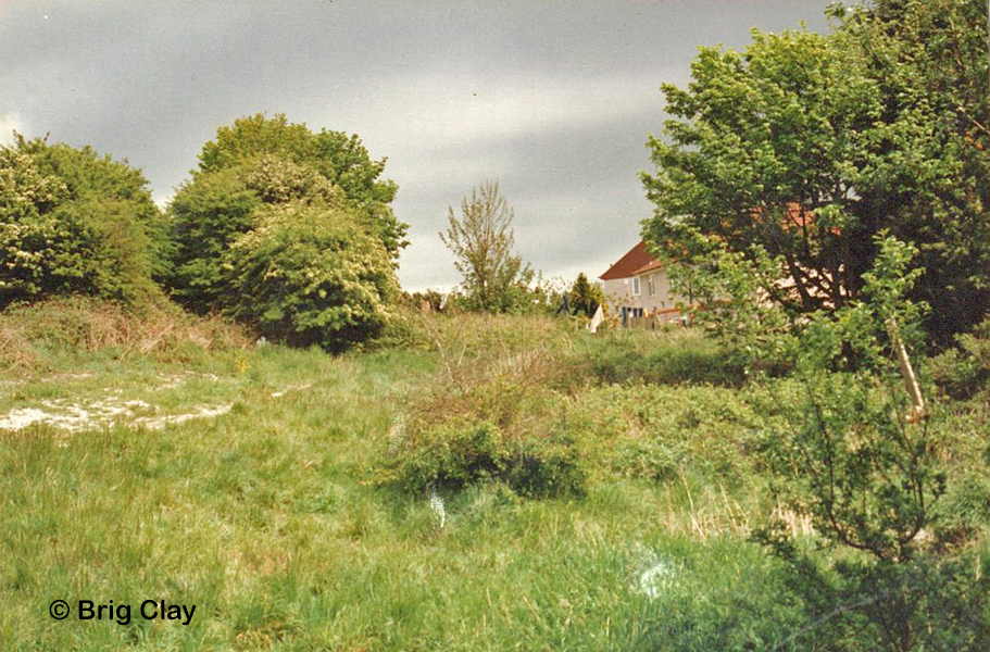 Site looking east ACC 14063_002a
