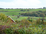 View from Hogs Edge Veranda October 2022