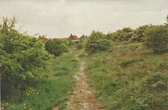 Hogs Edge Building Site view west Summer 1997