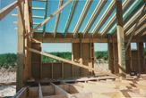 Houses with roof timbers and floor joists May 1998