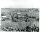 Allotments on site of Jevington Drive in July 1960