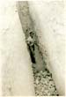Digging Sewer Pipe Trench at Lucraft Road c1958