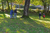 Taking readings round trees