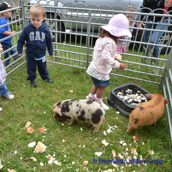 BECCA Farm day