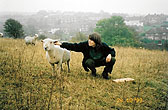 1999-10-28_Bevendean Downs Sheep_02
