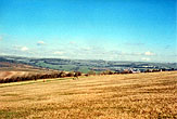2000c_Bevendean Downs Sheep_02