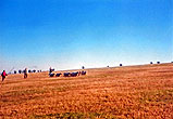 2000c_Bevendean Downs Sheep_06