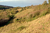Sheep on Bevendean Downs 22 October 2014