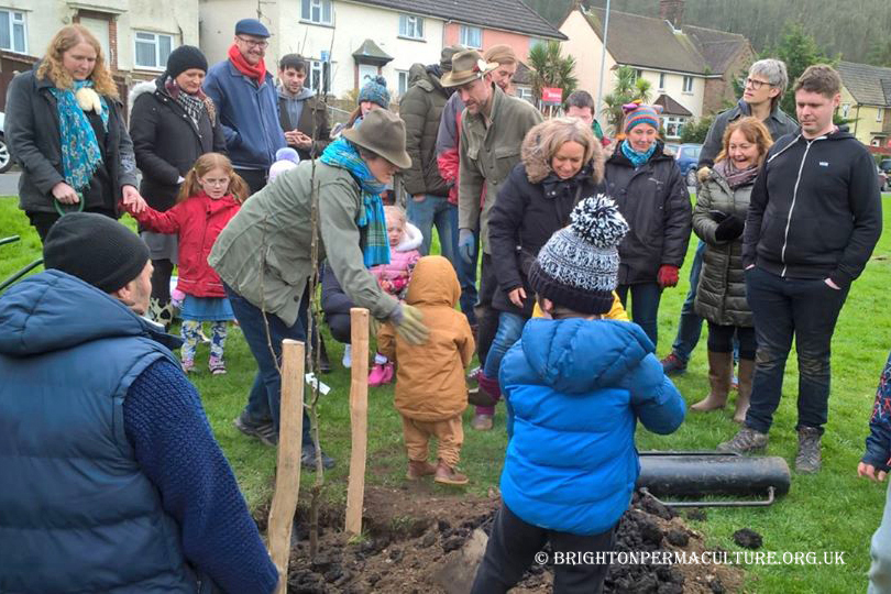 Planting Trees in the Avenue at the end of January 2020