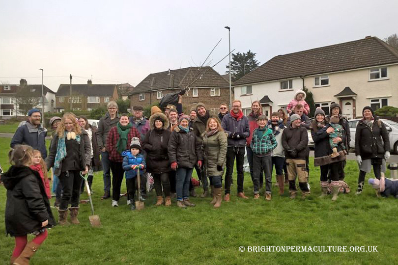 Tree Planting in January 2020 at the top of the Avenue