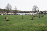 Avenue Orchard more trees planted in January 2021