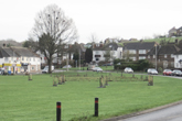 Avenue Orchard more trees planted in January 2021