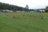 Avenue Orchard in February 2021