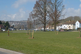 Avenue Orchard in March 2021