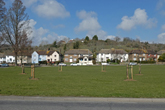 Avenue Orchard in March 2021