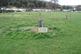 Avenue Orchard in March 2021