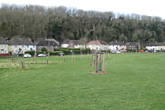 Avenue Orchard in March 2021