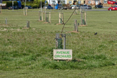 Avenue Orchard in April 2021