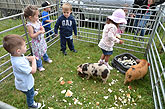 2014 Mini-Farm visits BECCA - Pigs - 02