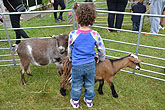 2014 Mini-Farm visits BECCA - Goats - 03