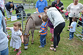 2014 Mini-Farm visits BECCA - Donkey - 07