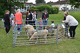 2014 Mini-Farm visits BECCA - Sheep - 10
