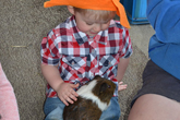 2014 Mini-Farm visits BECCA - Guinea Pigs - 21