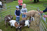 2014 Mini-Farm visits BECCA - Goats & Sheep - 23