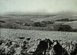 1946 Lower Bevendean Before Development Southern most part of industrial area