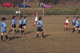 1985 Bevendean Badgers Football Team