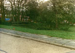 1987 October Hurricane Damage on Farm Green-2