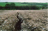 2000 Field rain damage behind Bodiam Close-1
