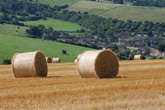 8 August 2007 Sports Field at East end of Lower Bevendean Estate
