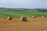 8 August 2007 Upper Bevendean Farm